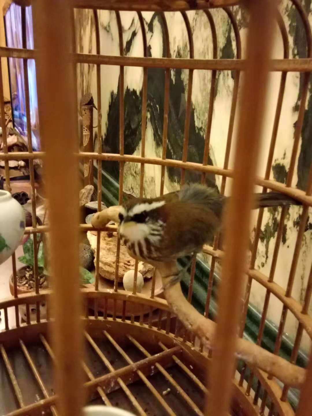 微信图片_20181119231639.jpg