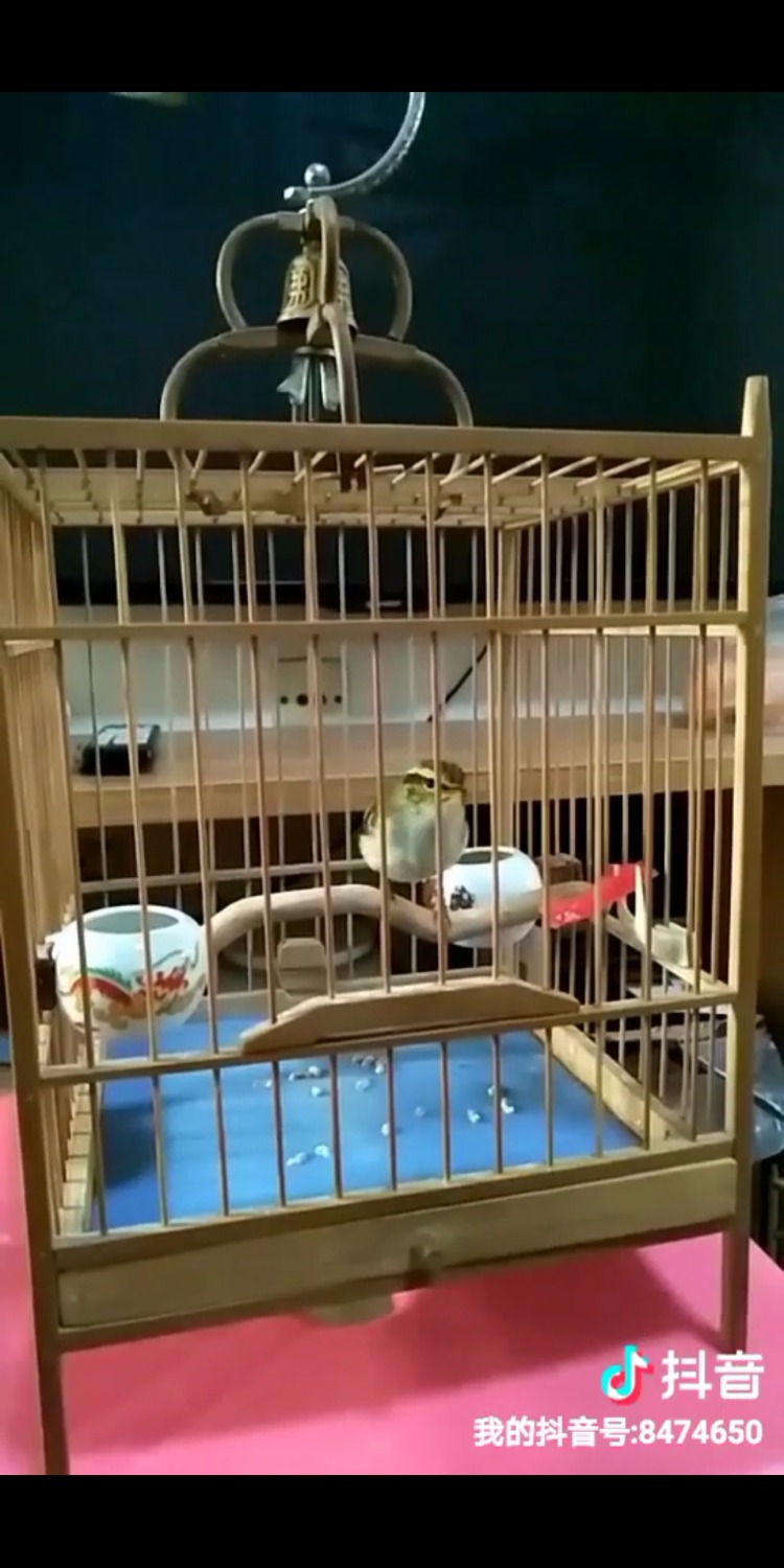 Screenshot_20181122-151440.jpg