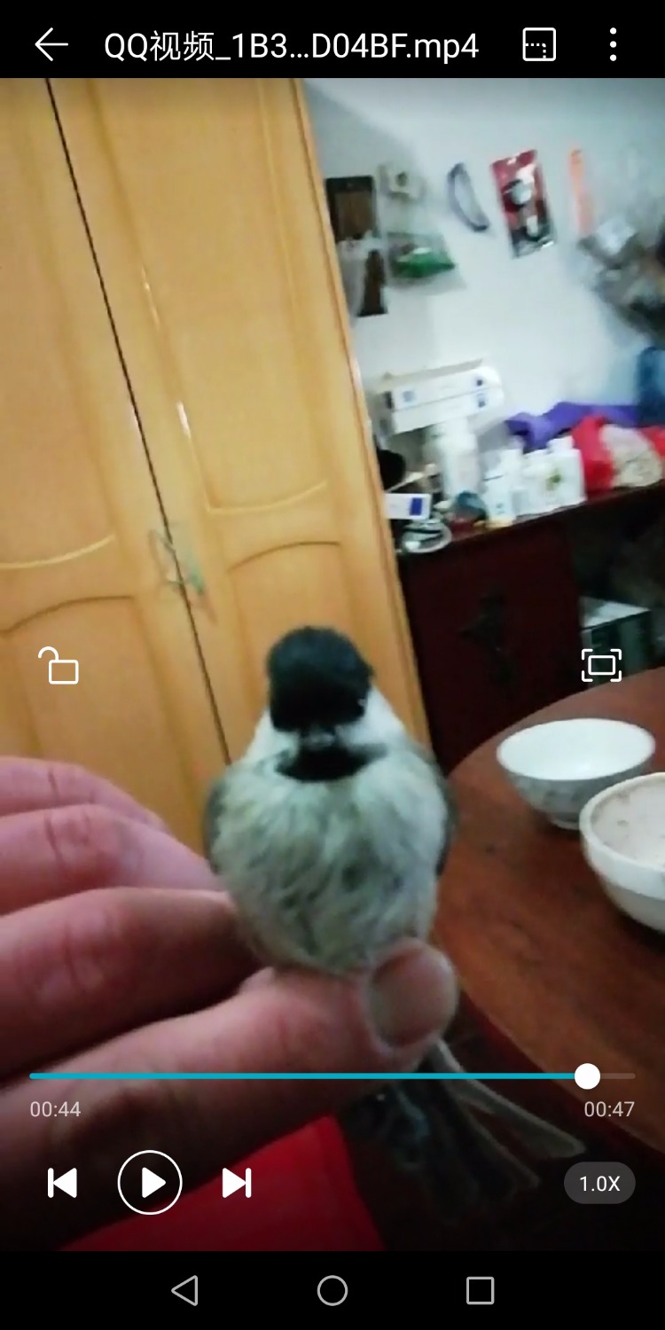 Screenshot_20181230-192859.jpg