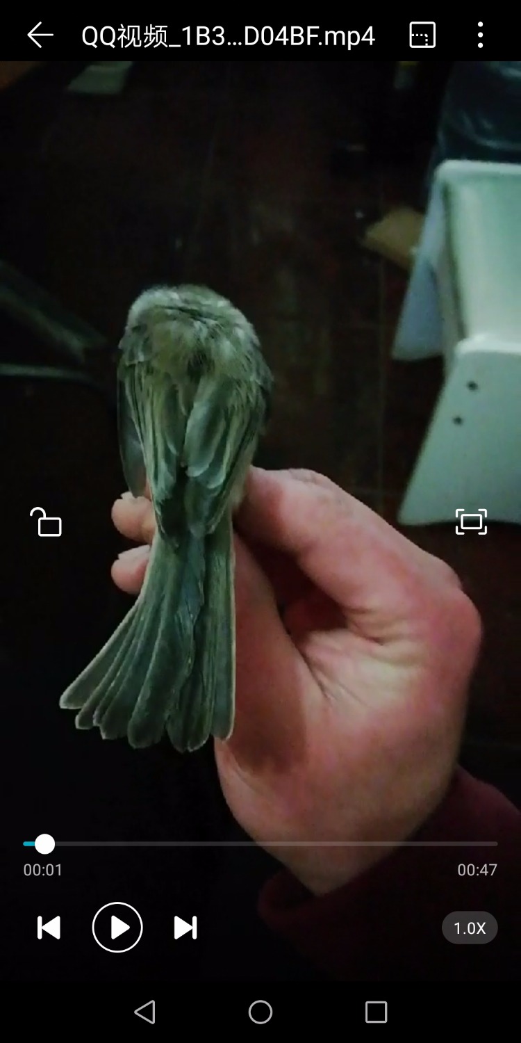Screenshot_20181230-192731.jpg