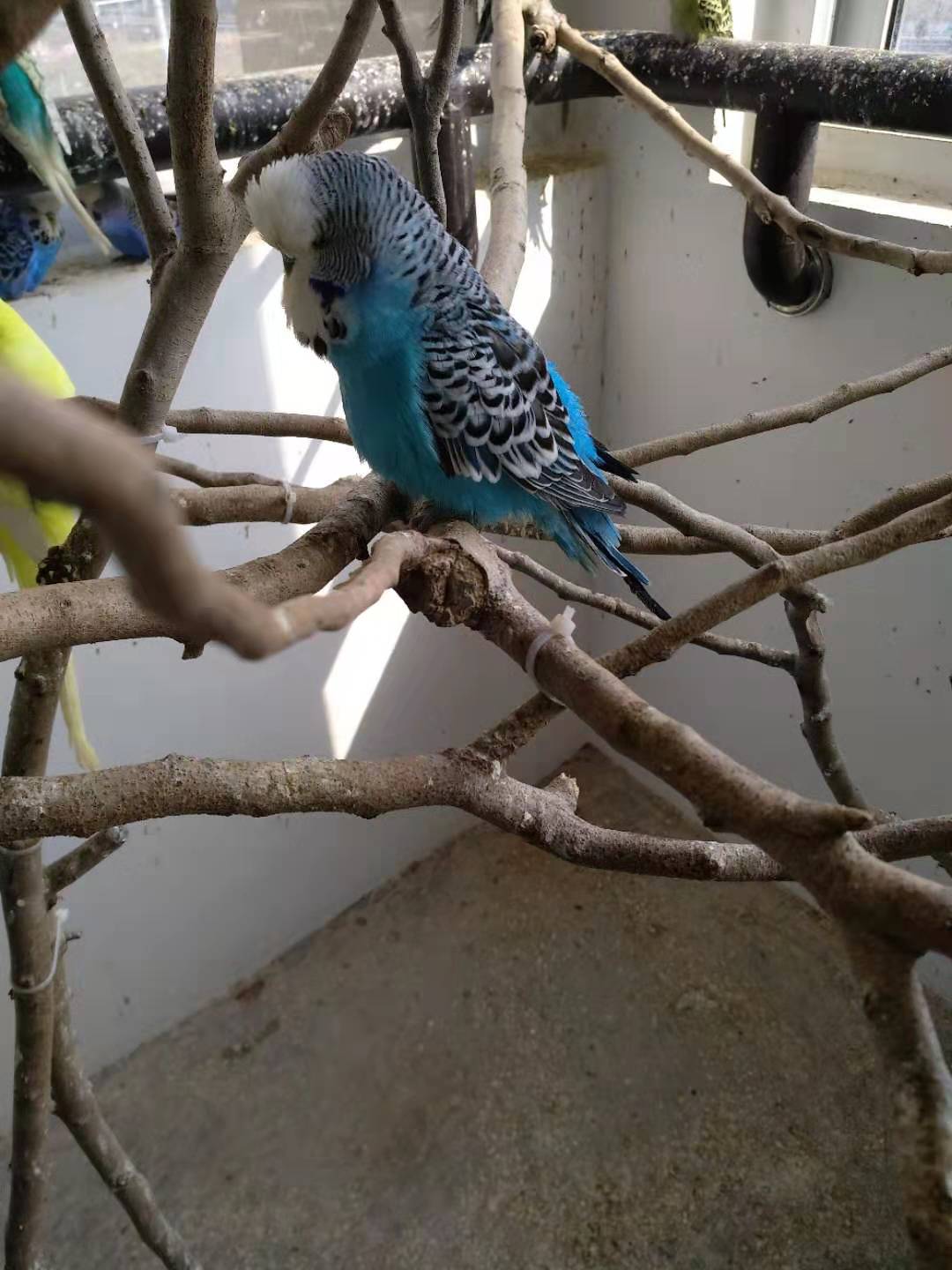 微信图片_20190306124839.jpg