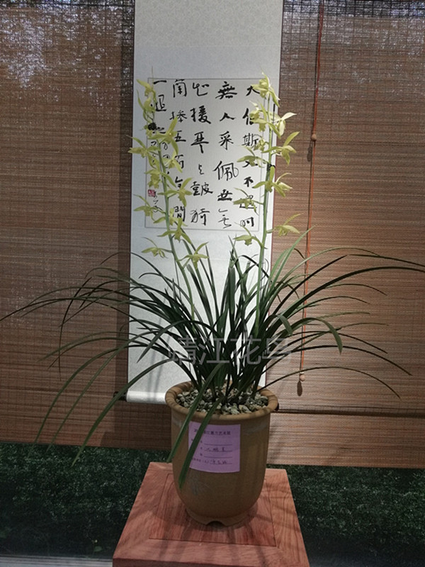 IMG_20190414_141410.jpg