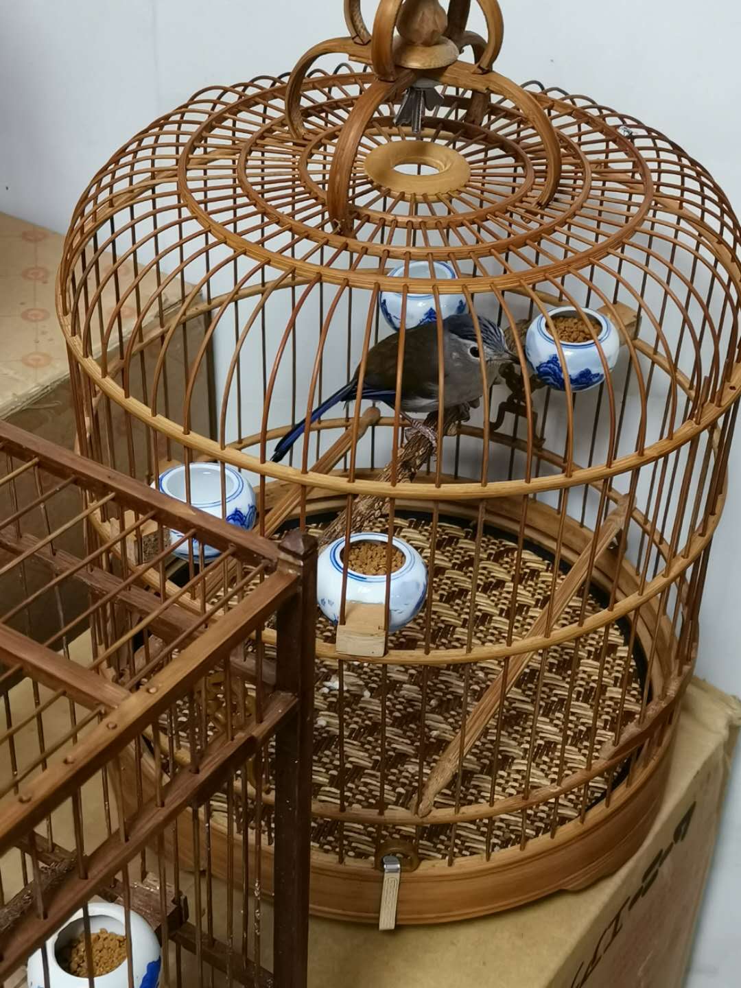微信图片_20190418082012.jpg