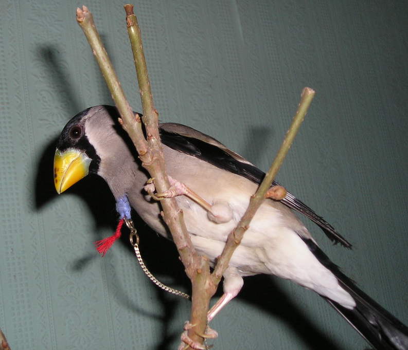 t3_1106221156.jpg