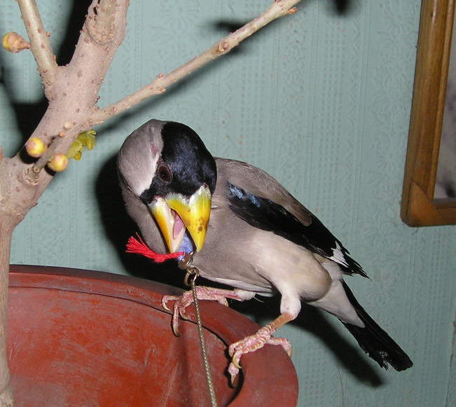 t4_1106221144.jpg