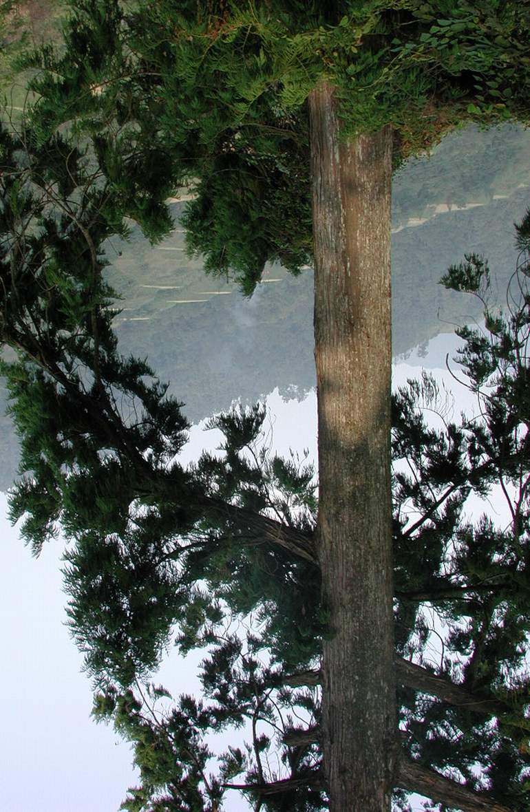 25_5982_74.jpg