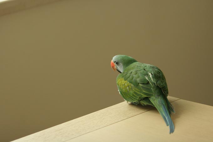 IMG_4745_1128479019.jpg