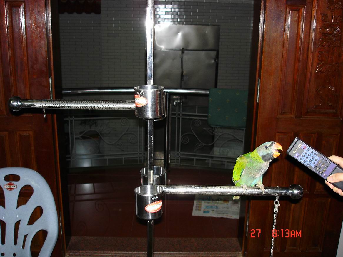 DSC00582_1122480144.jpg