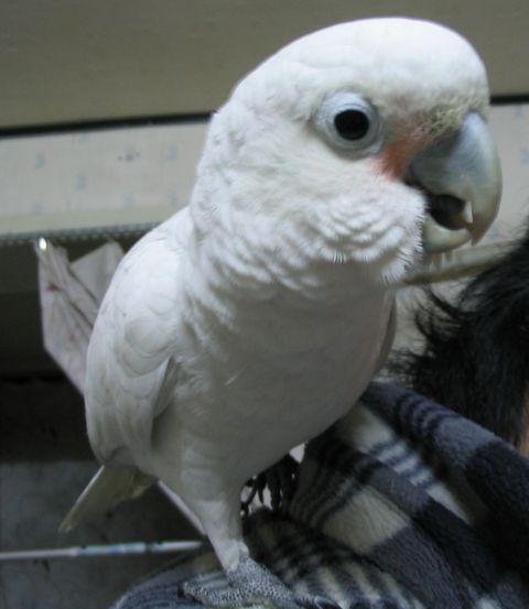 1_1113492634.jpg