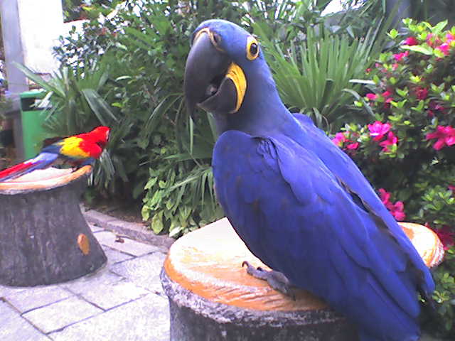 ____0100_1118645_1121483160.jpg