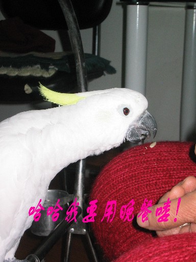 7_1111748914.jpg