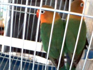 200509011_1125546523.jpg