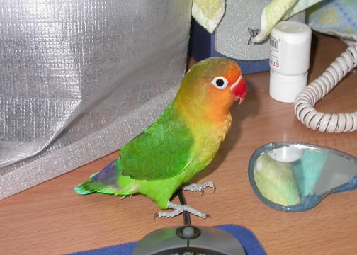 DSCN1133_1121248576.jpg