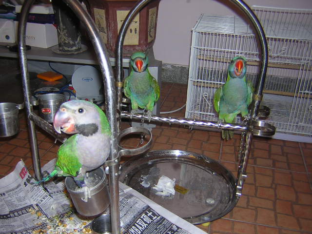 DSCN2146_1121917574.jpg