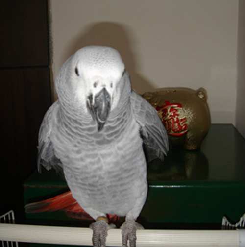 DSC00248_1121933432.jpg