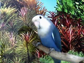 2_1128066607.jpg