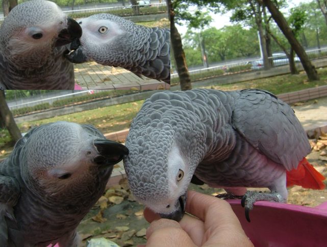 3198_1116957382.jpg