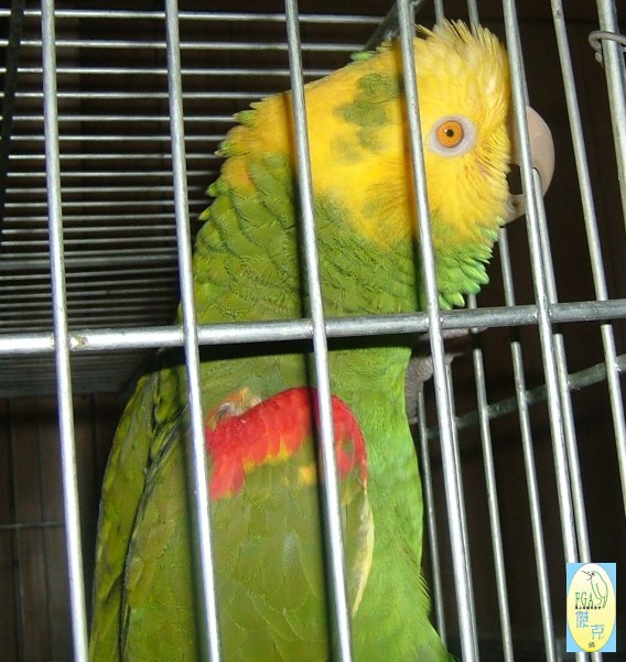 3232_1117303588.jpg