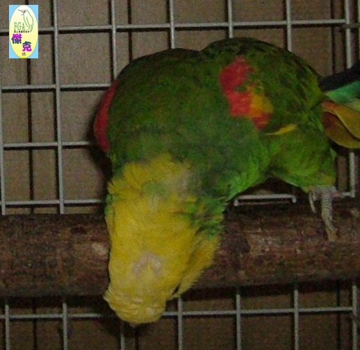 3238_1117304246.jpg