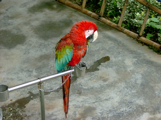 SV300105_1118655751.jpg