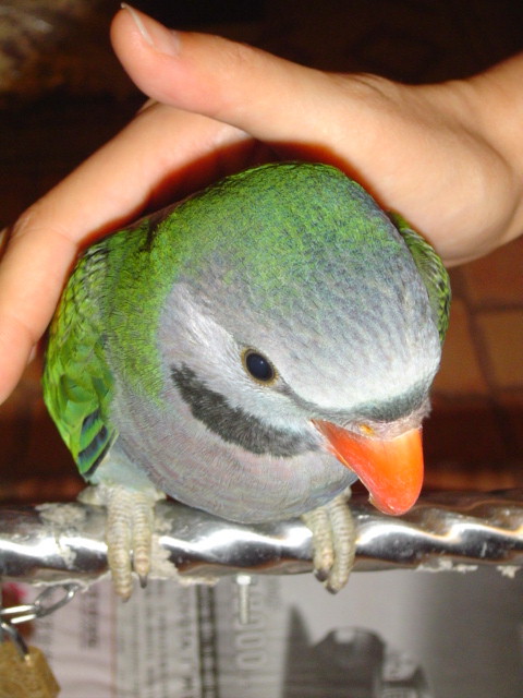 ds3_1118108345.jpg