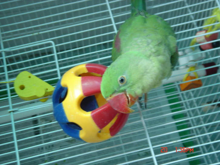 3_1116864881.jpg