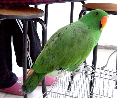 4_1129131367.jpg