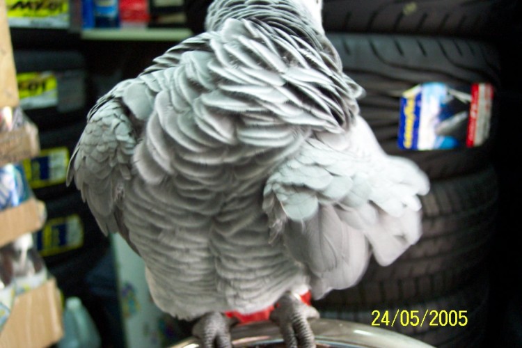 002_1116914908.jpg