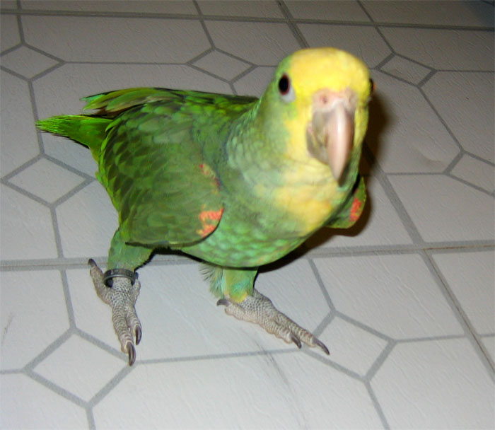 amazon3_1128646238.jpg