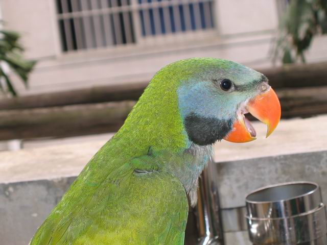 B5F7D5FBB4F3D0A1_1121755810.jpg