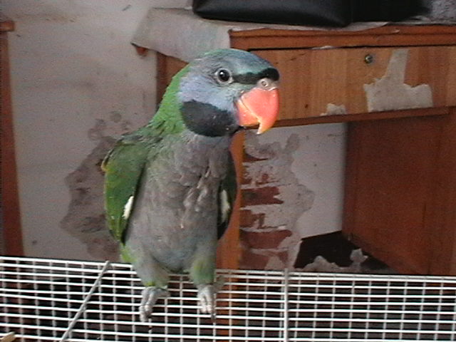 IMGA0239_1123152042.jpg