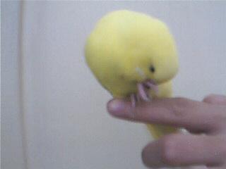 12_1127495338.jpg