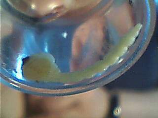 B3E6B3E6_1121962064.jpg