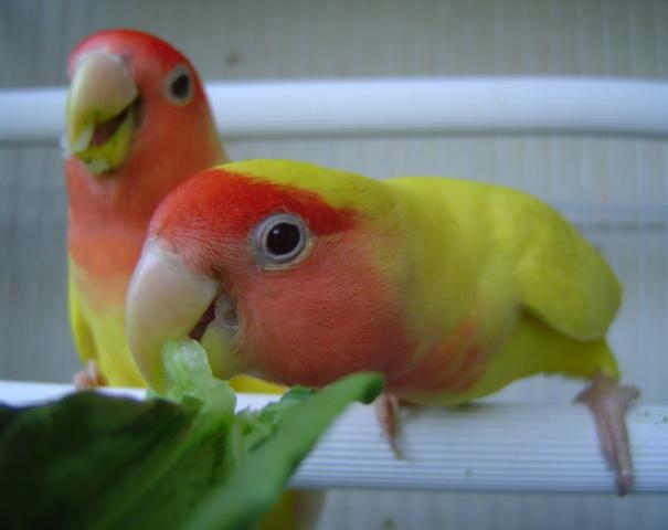 DSC01123_1117946281.jpg