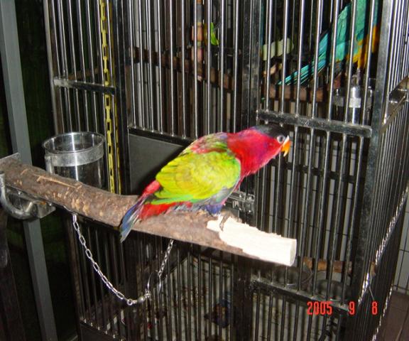 CEFCC3DB1_1126178380.jpg