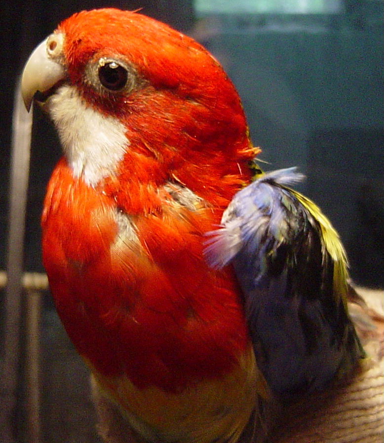 Cnv0013_1122361164.jpg