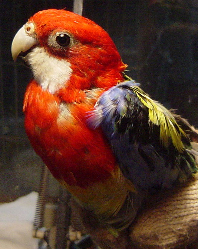 Cnv0015_1122361226.jpg