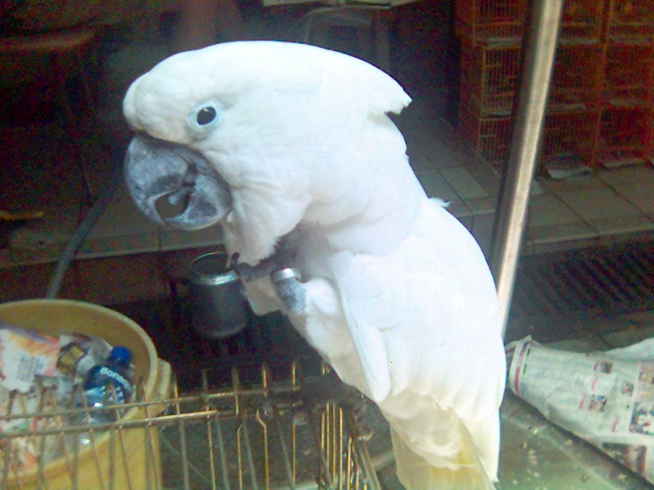 168_1123084372.jpg
