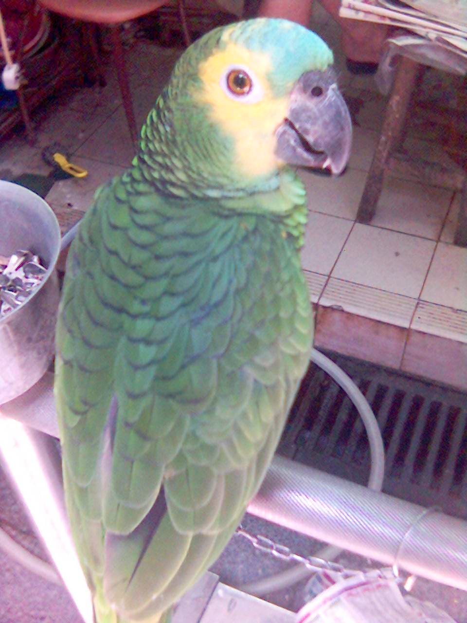 170_1123085531.jpg