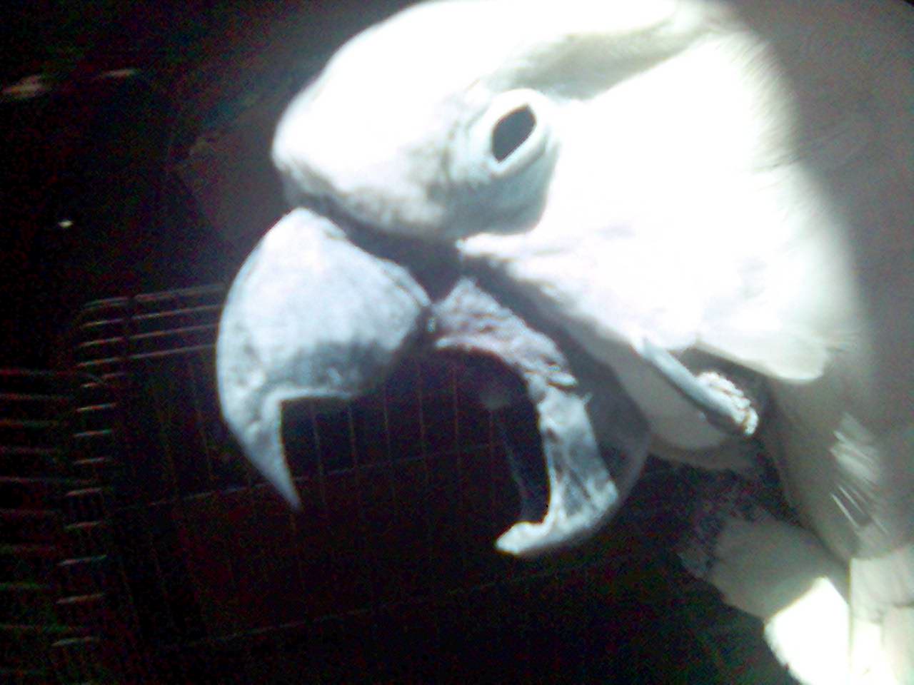 174_1123000003.jpg