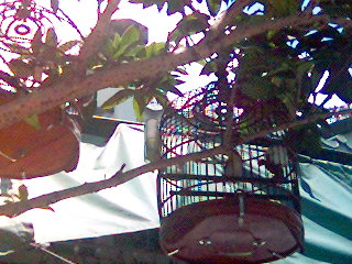 182_1122998869.jpg