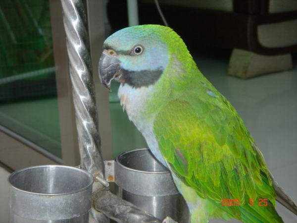 DSC04720_1117026704.jpg