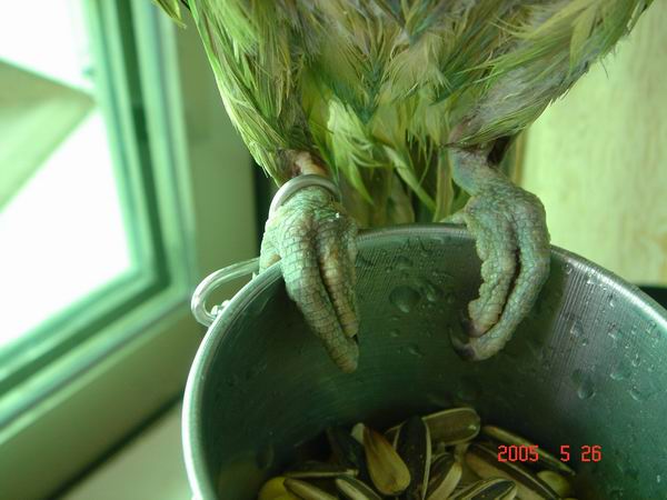 DSC04738_1117082540.jpg