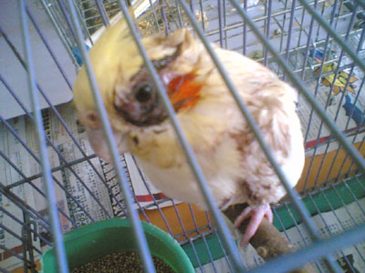 555A3ACBBD9C8DDC_1121737475.jpg