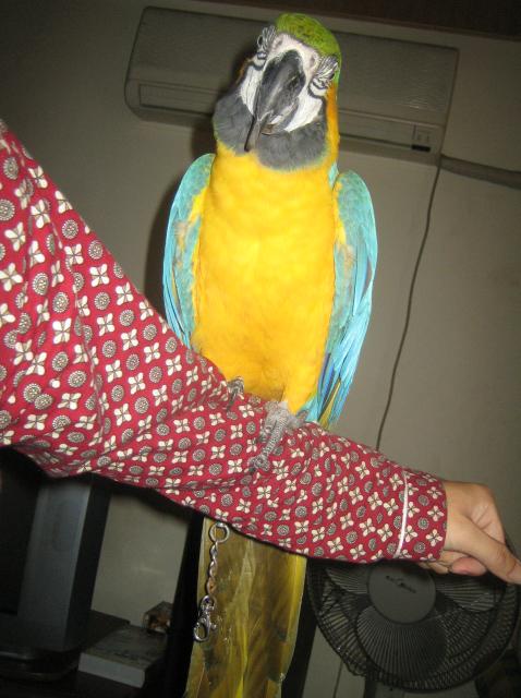 CEB4C3FCC3FB1234_1117021870.jpg