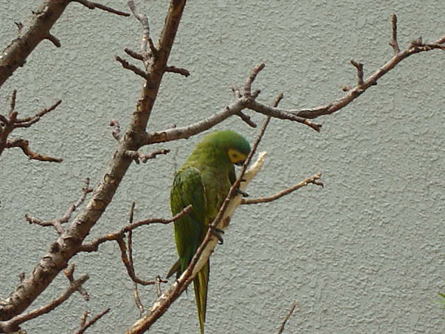 DSC00069_1127624178.jpg