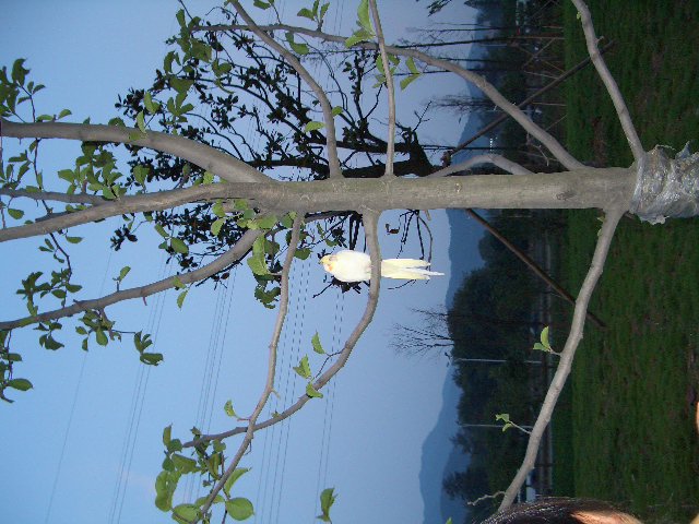 CIMG0564_1119191331.jpg