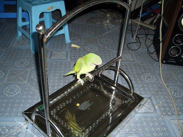 CIMG0748_1125748129.jpg