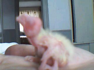 CDBCC6AC20056_1126269099.jpg