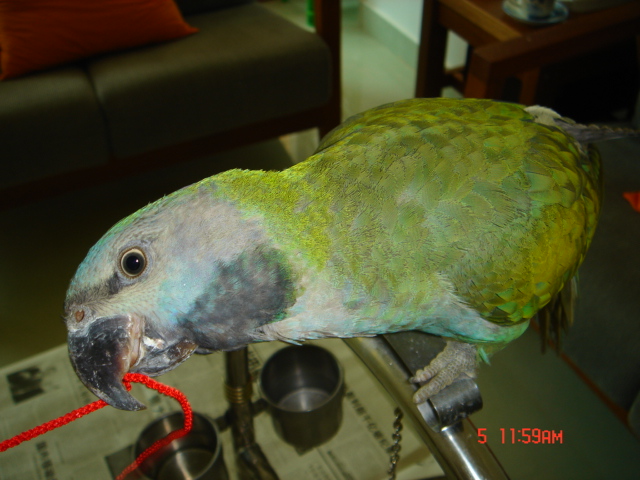 DSC00800_1111764828.jpg